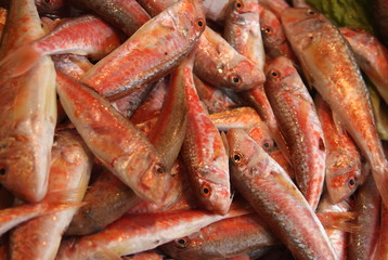 ryby na targu