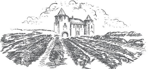 Vintage - vineyard and castle