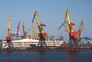 A cargo cranes in the port