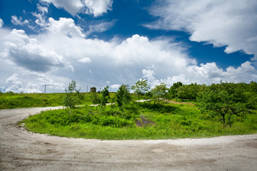 Rural road through trees