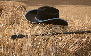 Hat and whip