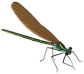 mosquito insect illustration