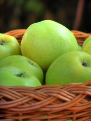 Apples in the basket nb.3