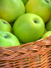 Apples in the basket nb.5