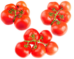 bunches of ripe tomatos'
