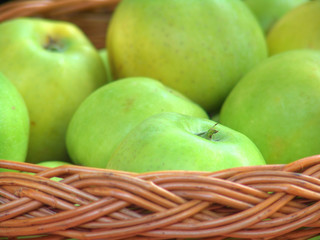 Apples in the basket nb.10