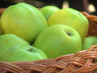 Apples in the basket nb. 13