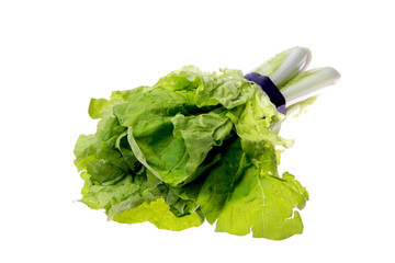 Butter Lettuce isolated on white .