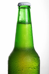 Beer in bottle on a white background .