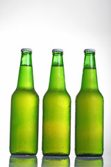 Beer in bottle on a white background .