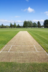 Cricket pitch