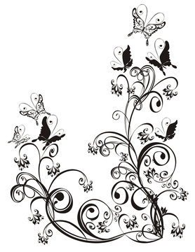 Frame  with butterfly and floral ornament, vector