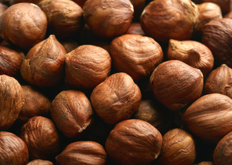 Hazelnuts background