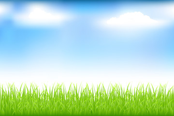 Fototapeta na wymiar Green Grass And Blue Sky