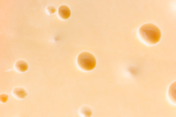 Piece of tasty cheese