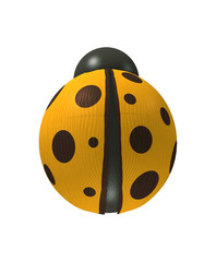 wood yellow ladybird