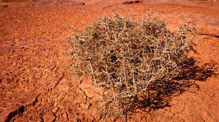 Navajo Tribal Park