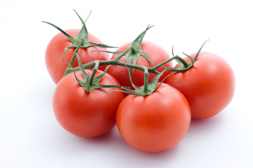 Tomatoes