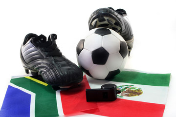Fußball-WM 2010