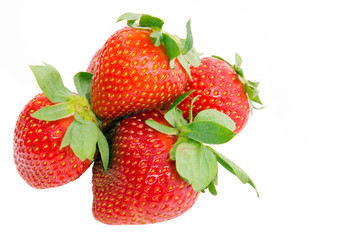 Strawberries isolated over white background, studio shot