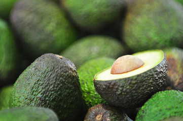 Avocado