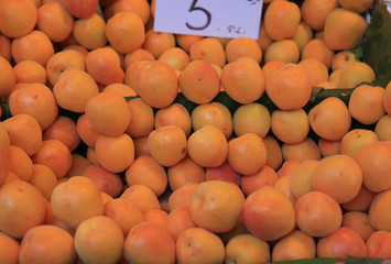 Apricot
