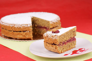Piece of buckwheat cake