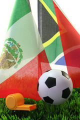 Fußball-WM 2010