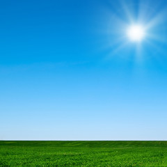 Fototapeta premium landscape