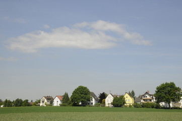 Roggenfeld und Häuser