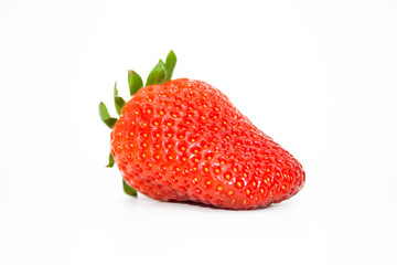 Erdbeere