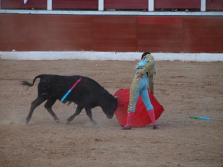 VAQUILLAS