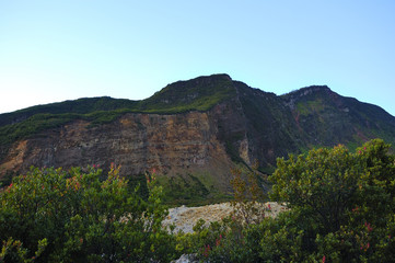 Green Area Mount Papandayan