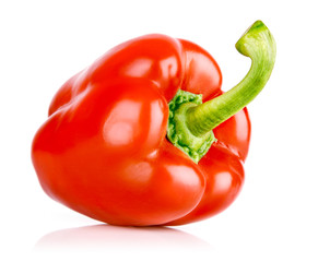 fresh single pepper fruit isolated