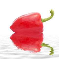 Juicy red bell pepper on water