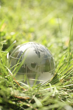 conceptual image of a globe on grass