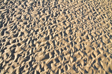 Complex beach sand ripple pattern