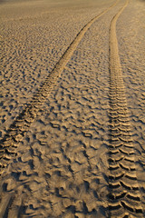 Tyre tracks in wet sand