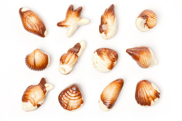 chocolate seashells