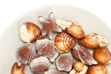 chocolate seashells