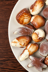 chocolate seashells