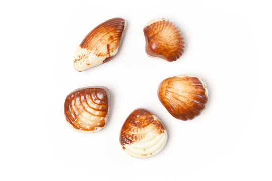 chocolate seashells