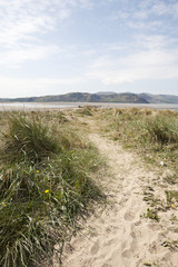 Fototapeta na wymiar beach path