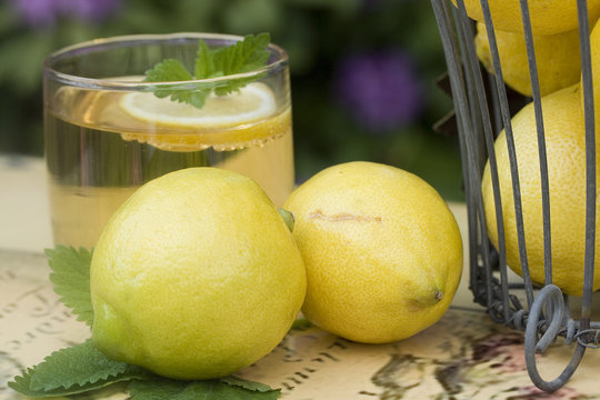 Zitronenlimonade lemon margarita 