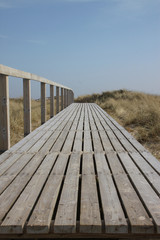 Holzsteg in den D&uuml;nen