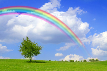 Naklejka premium regenbogen