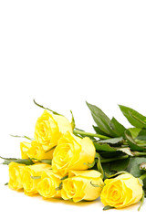 bunch of fresh roses isolated on white