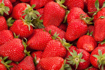 fresh strawberry