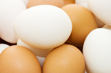 background from chicken eggs