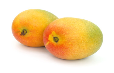 Two ripe mangoes